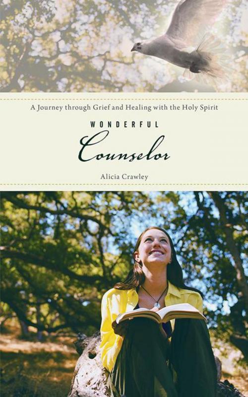 Cover of the book Wonderful Counselor by Alicia Crawley, WestBow Press