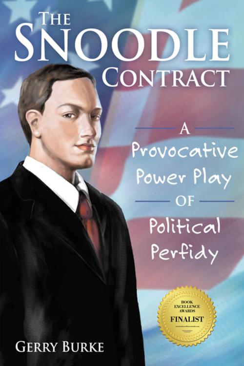 Cover of the book The Snoodle Contract by Gerry Burke, iUniverse