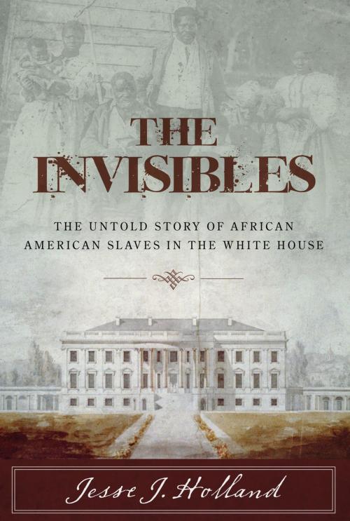 Cover of the book The Invisibles by Jesse Holland, Lyons Press