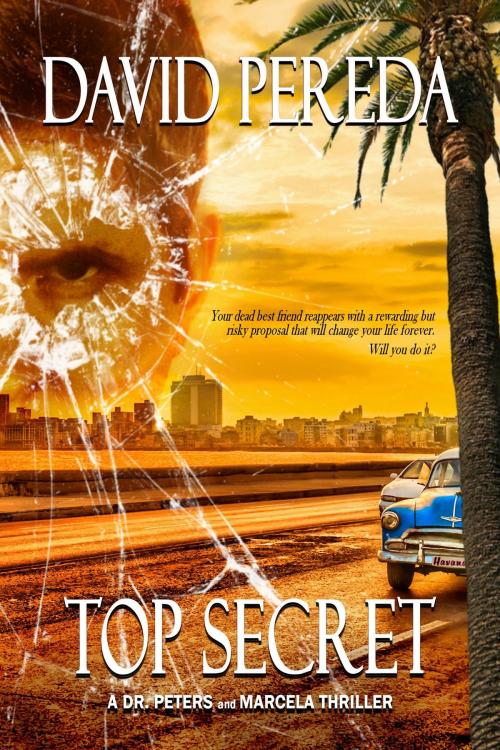 Cover of the book Top Secret by David Pereda, David Pereda