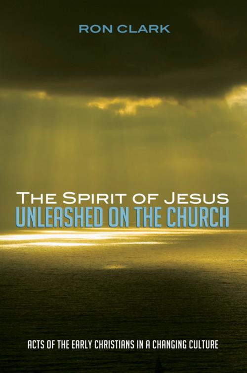 Cover of the book The Spirit of Jesus Unleashed on the Church by Ron Clark, Wipf and Stock Publishers
