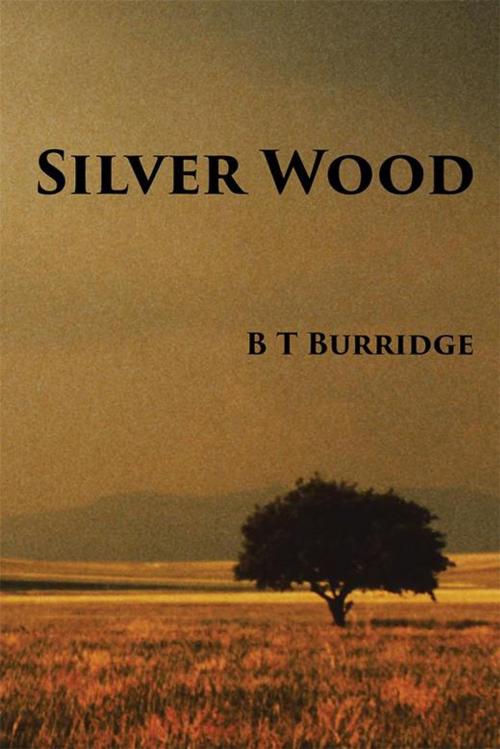 Cover of the book Silver Wood by B T Burridge, Xlibris NZ