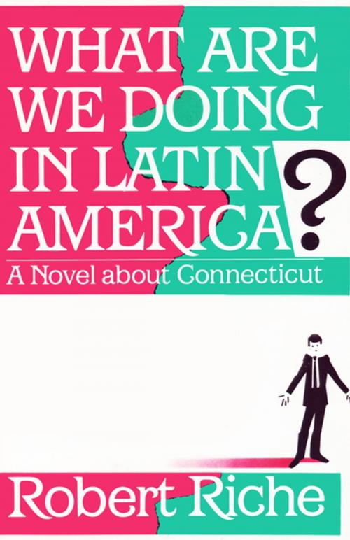 Cover of the book What Are We Doing in Latin America? by Robert Riche, The Permanent Press (ORD)
