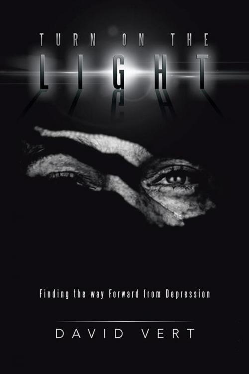 Cover of the book Turn on the Light by David Vert, Balboa Press AU