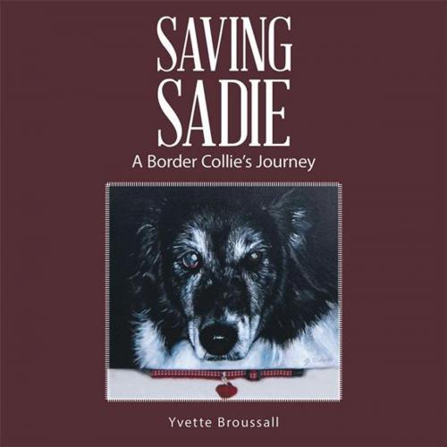 Cover of the book Saving Sadie by Yvette Broussall, Balboa Press