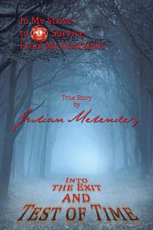 Cover of the book Into the Exit and Test of Time by Julian Melendez, AuthorHouse