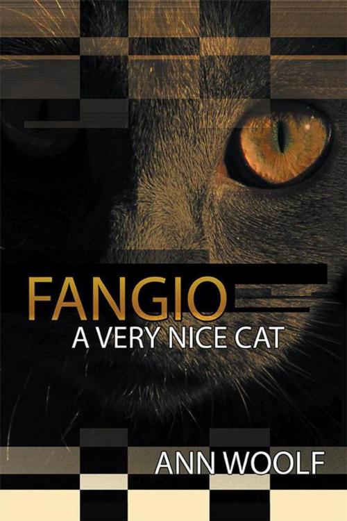 Cover of the book Fangio by Joshua Allen, AuthorHouse UK