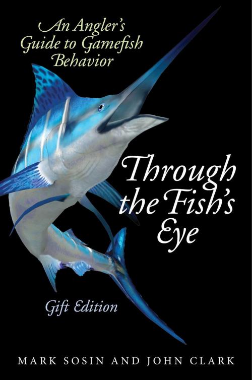 Cover of the book Through the Fish's Eye by Mark Sosin, John Clark, Skyhorse