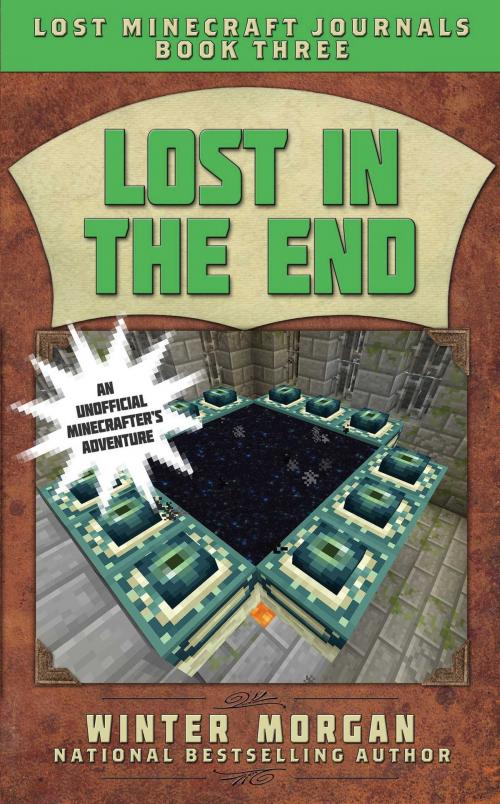 Cover of the book Lost in the End by Winter Morgan, Sky Pony