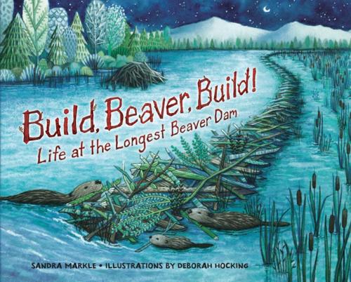 Cover of the book Build, Beaver, Build! by Sandra Markle, Lerner Publishing Group