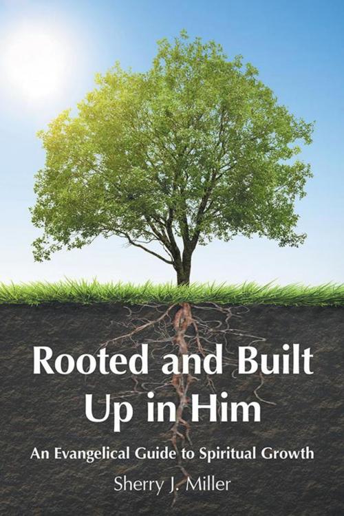 Cover of the book Rooted and Built up in Him by Sherry J. Miller, WestBow Press