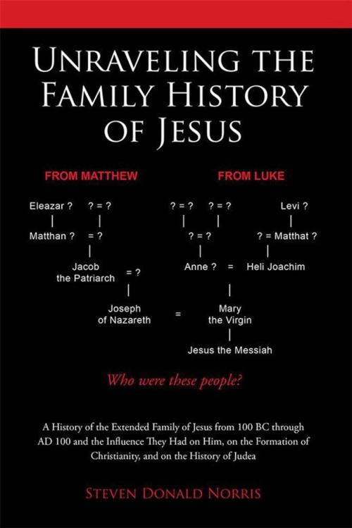 Cover of the book Unraveling the Family History of Jesus by Steven Donald Norris, WestBow Press