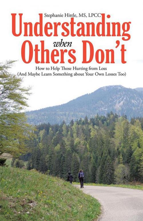 Cover of the book Understanding When Others Don't by Stephanie Hittle MS LPCC, WestBow Press