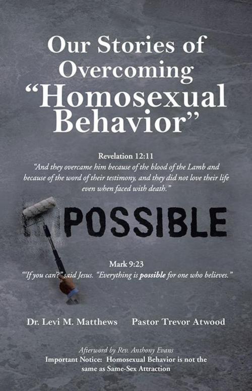Cover of the book Our Stories of Overcoming "Homosexual Behavior" by Levi Matthews, WestBow Press