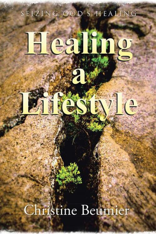 Cover of the book Healing a Lifestyle by Christine Beumier, WestBow Press