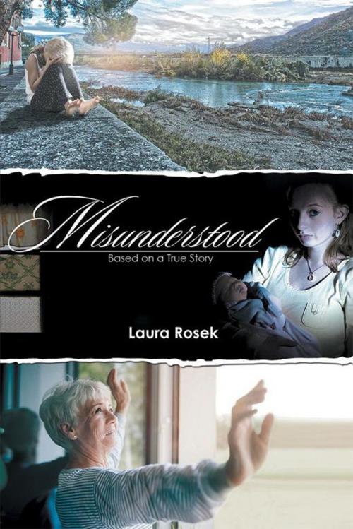 Cover of the book Misunderstood by Laura Rosek, Xlibris UK