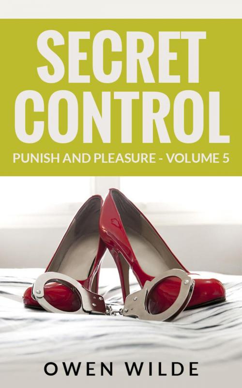 Cover of the book Secret Control (Punish and Pleasure - Volume 5) by Owen Wilde, Alfaro Press