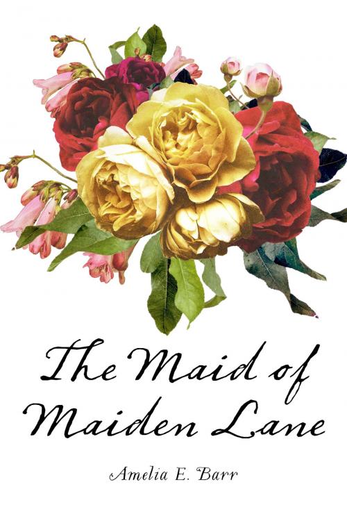 Cover of the book The Maid of Maiden Lane by Amelia E. Barr, Krill Press