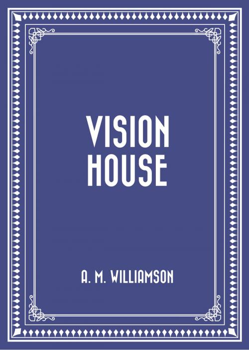 Cover of the book Vision House by A. M. Williamson, Krill Press