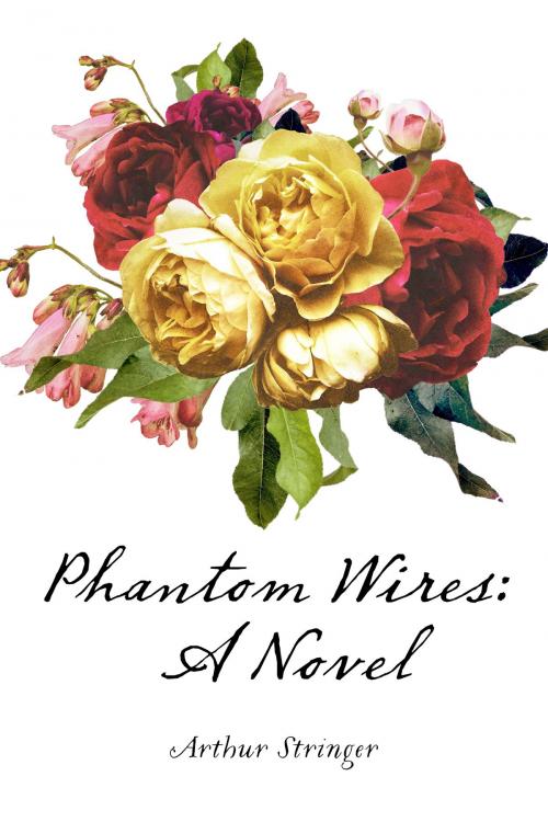 Cover of the book Phantom Wires: A Novel by Arthur Stringer, Krill Press