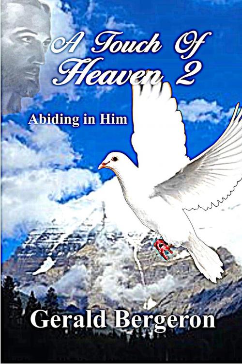 Cover of the book A Touch of Heaven 2 by Gerald Bergeron, Gerald Bergeron