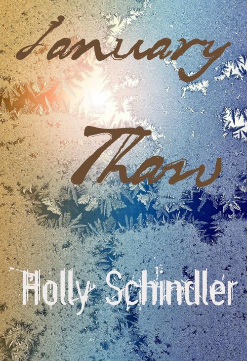 Cover of the book January Thaw by Holly Schindler, Holly Schindler, LLC