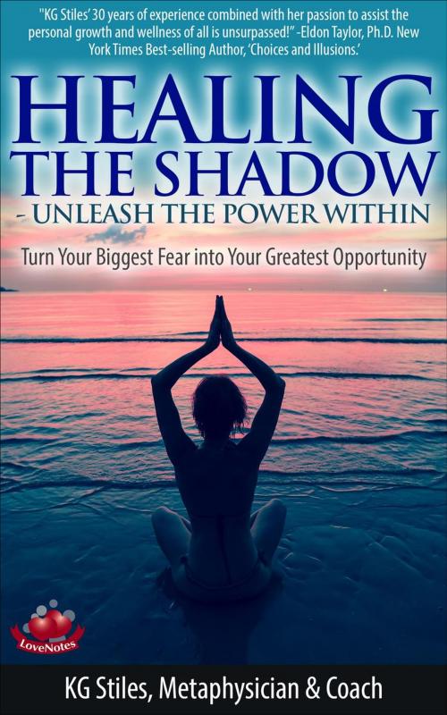 Cover of the book Healing the Shadow Unleash the Power Within Turn Your Biggest Fear Into Your Greatest Opportunity by KG STILES, KG STILES