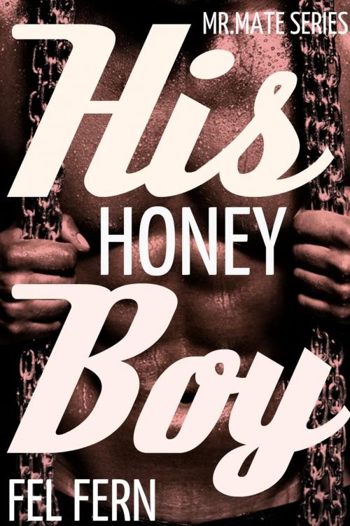 Cover of the book His Honey Boy by Fel Fern, Fel Fern