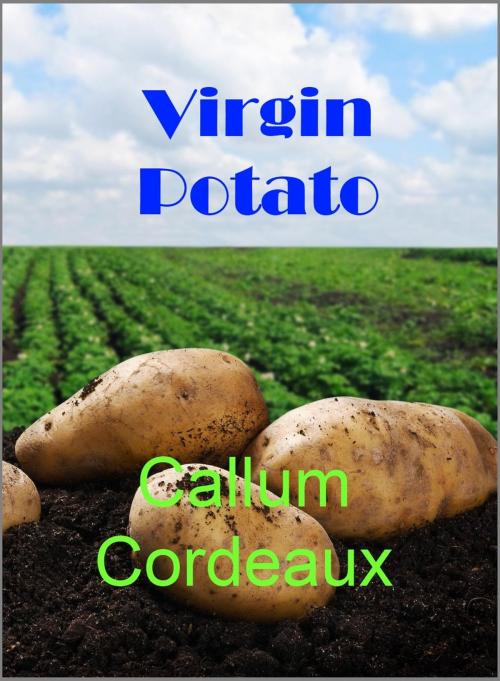 Cover of the book Virgin Potato by Callum Cordeaux, Callum Cordeaux