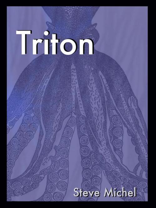 Cover of the book Triton by steve michel, nogo10