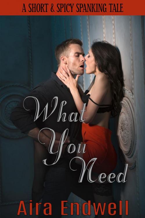 Cover of the book What You Need by Aira Endwell, Pair of Nines Publishing, LLC