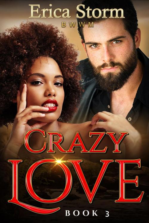 Cover of the book Crazy Love by Erica Storm, Erica Storm