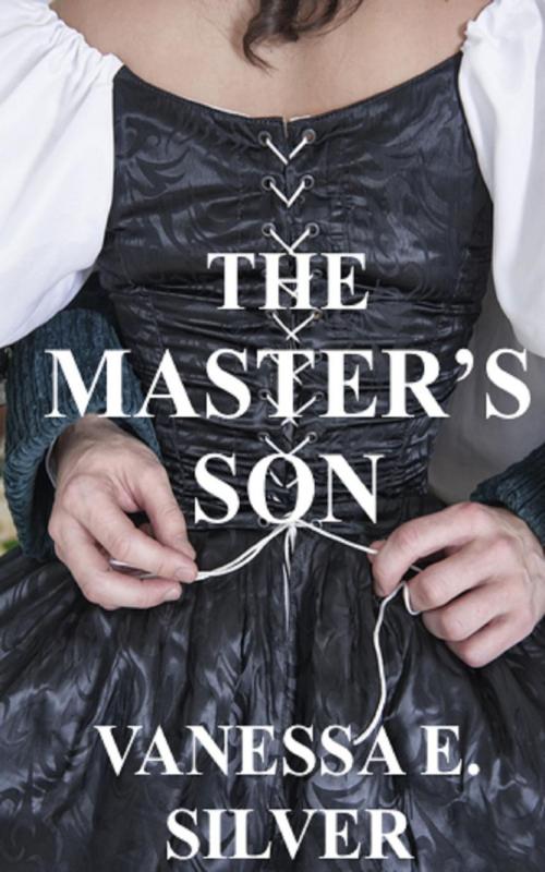 Cover of the book The Master’s Son by Vanessa E Silver, LB Books