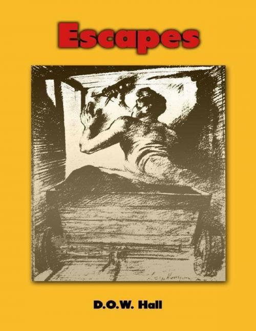 Cover of the book Escapes by D. O. W. Hall, Merriam Press
