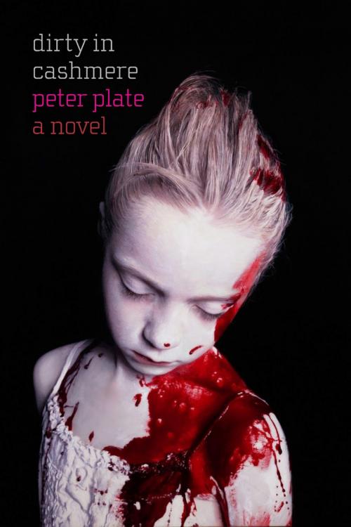 Cover of the book Dirty in Cashmere by Peter Plate, Seven Stories Press