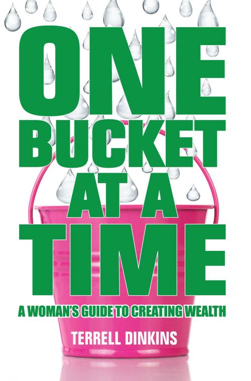 Cover of the book One Bucket at a Time by Terrell Dinkins, BookLogix