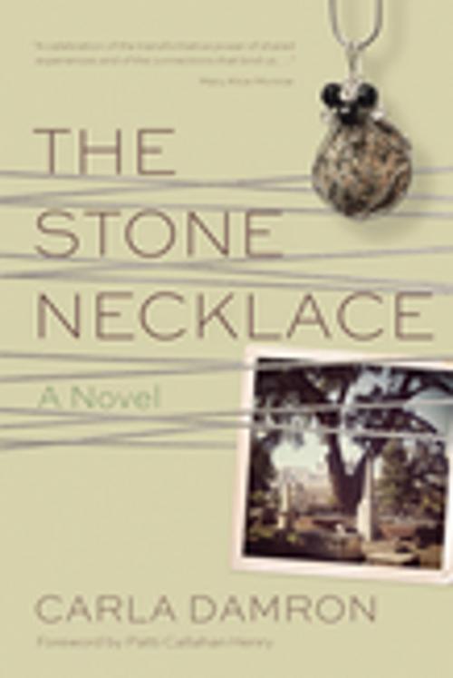 Cover of the book The Stone Necklace by Carla Damron, University of South Carolina Press