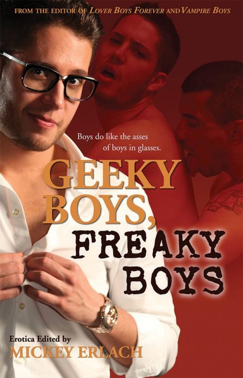 Cover of the book GEEKY BOYS, FREAKY BOYS by , STARbooks Press