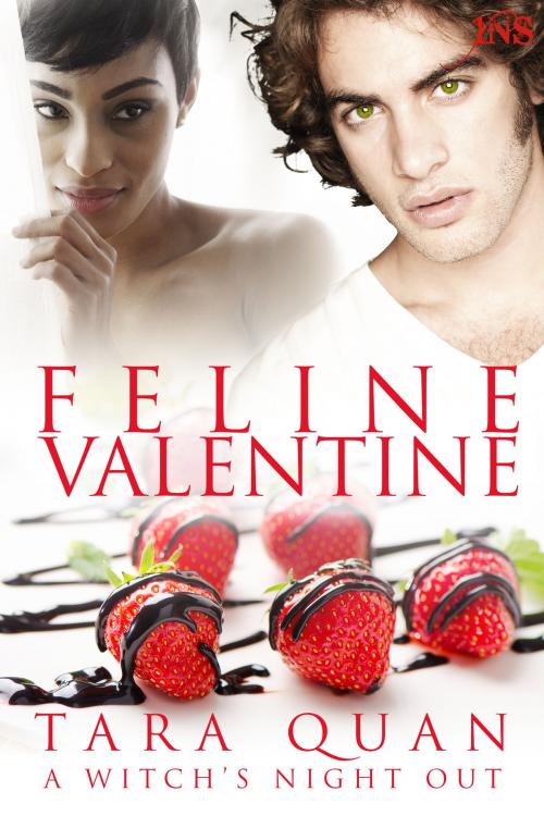 Cover of the book Feline Valentine (1Night Stand series) by Tara Quan, Decadent Publishing Company