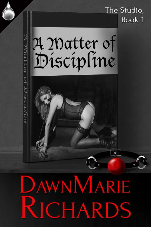 Cover of the book A Matter of Discipline by DawnMarie Richards, Liquid Silver Books