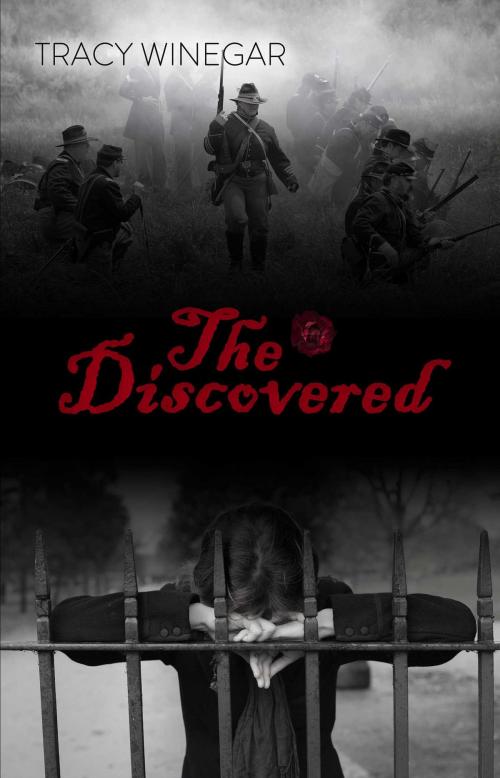Cover of the book The Discovered by Tracy Winegar, Omnific Publishing