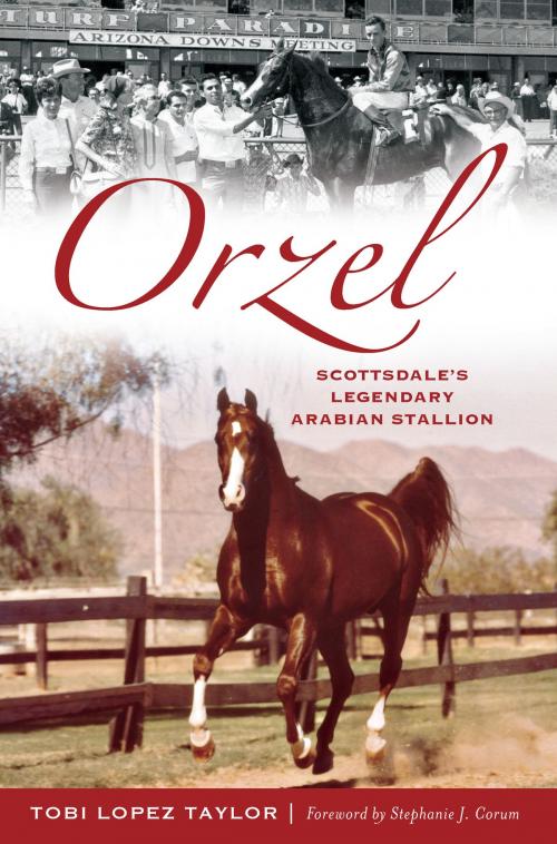 Cover of the book Orzel by Tobi Lopez Taylor, Arcadia Publishing Inc.