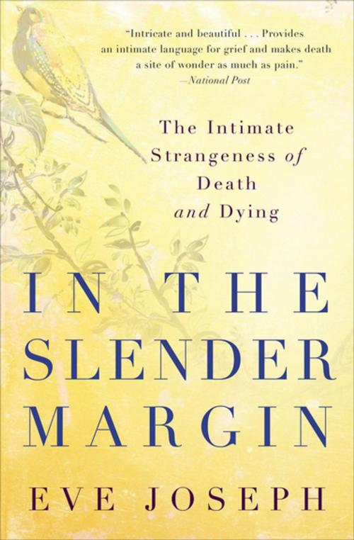 Cover of the book In the Slender Margin by Eve Joseph, Skyhorse Publishing