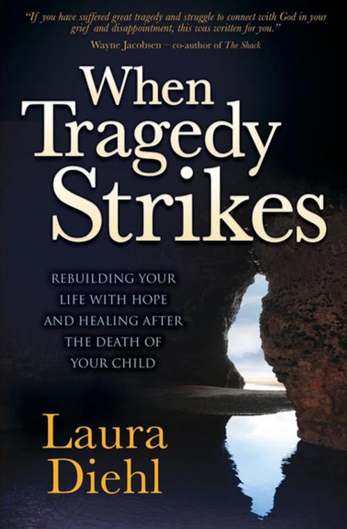 Cover of the book When Tragedy Strikes by Laura Diehl, Morgan James Publishing