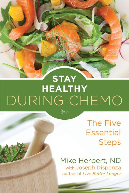 Cover of the book Stay Healthy During Chemo by Mike Herbert, ND, Dr. Joe Dispenza, Red Wheel Weiser