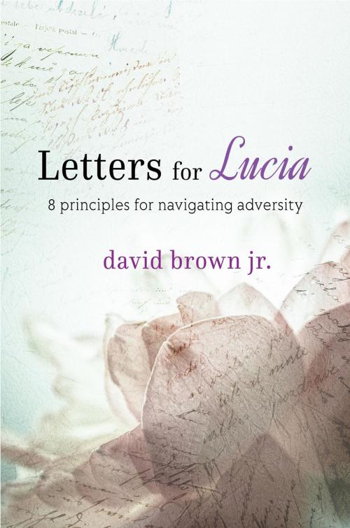 Cover of the book Letters for Lucia by David Brown Jr., David Brown Jr. Enterprises, LLC