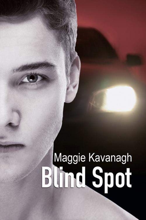 Cover of the book Blind Spot by Maggie Kavanagh, Dreamspinner Press