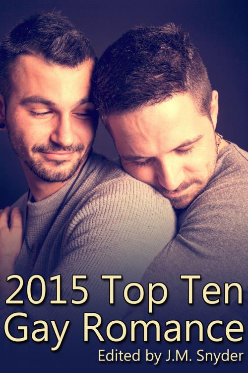 Cover of the book 2015 Top Ten Gay Romance by J.M. Snyder, JL Merrow, A.R. Moler, J.D. Walker, Rebecca James, Drew Hunt, Jeff Adams, Edward Kendrick, Hunter Frost, Lisa Gray, JMS Books LLC