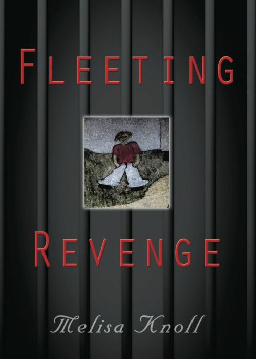 Cover of the book FLEETING REVENGE by Melisa Knoll, BookLocker.com, Inc.