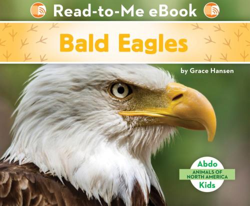 Cover of the book Bald Eagles by Grace Hansen, ABDO